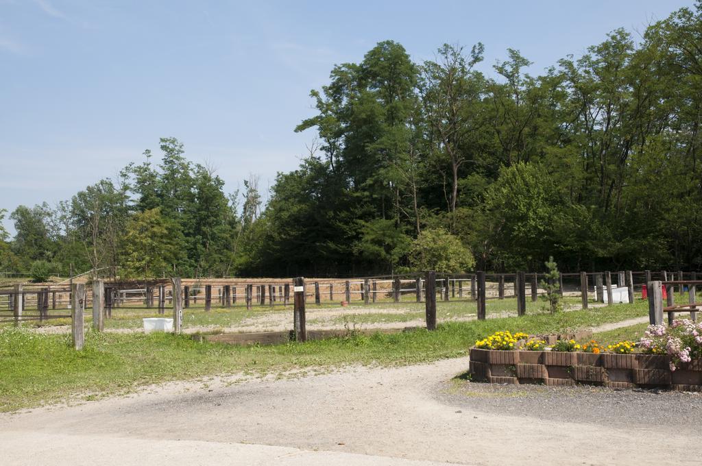 Agriturismo Jesson Rosamund Cantu Exterior photo